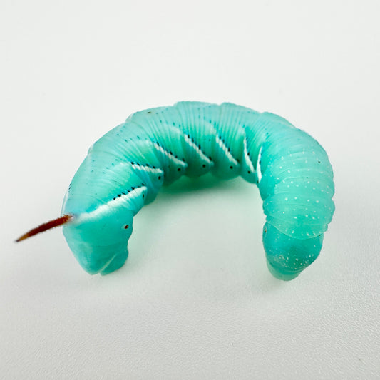 Extra Large Hornworms
